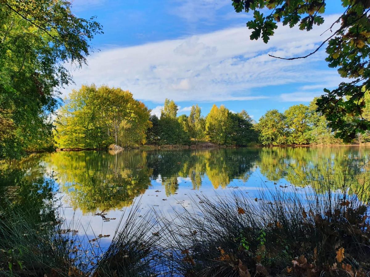 Ferienwohnung Am See Dillich - Eigener Garten - Ruhige Lage - Natur Vor Der Haustuer Borken  Exteriér fotografie