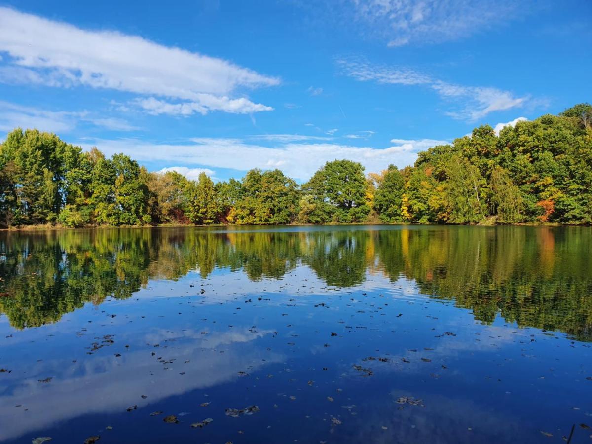Ferienwohnung Am See Dillich - Eigener Garten - Ruhige Lage - Natur Vor Der Haustuer Borken  Exteriér fotografie