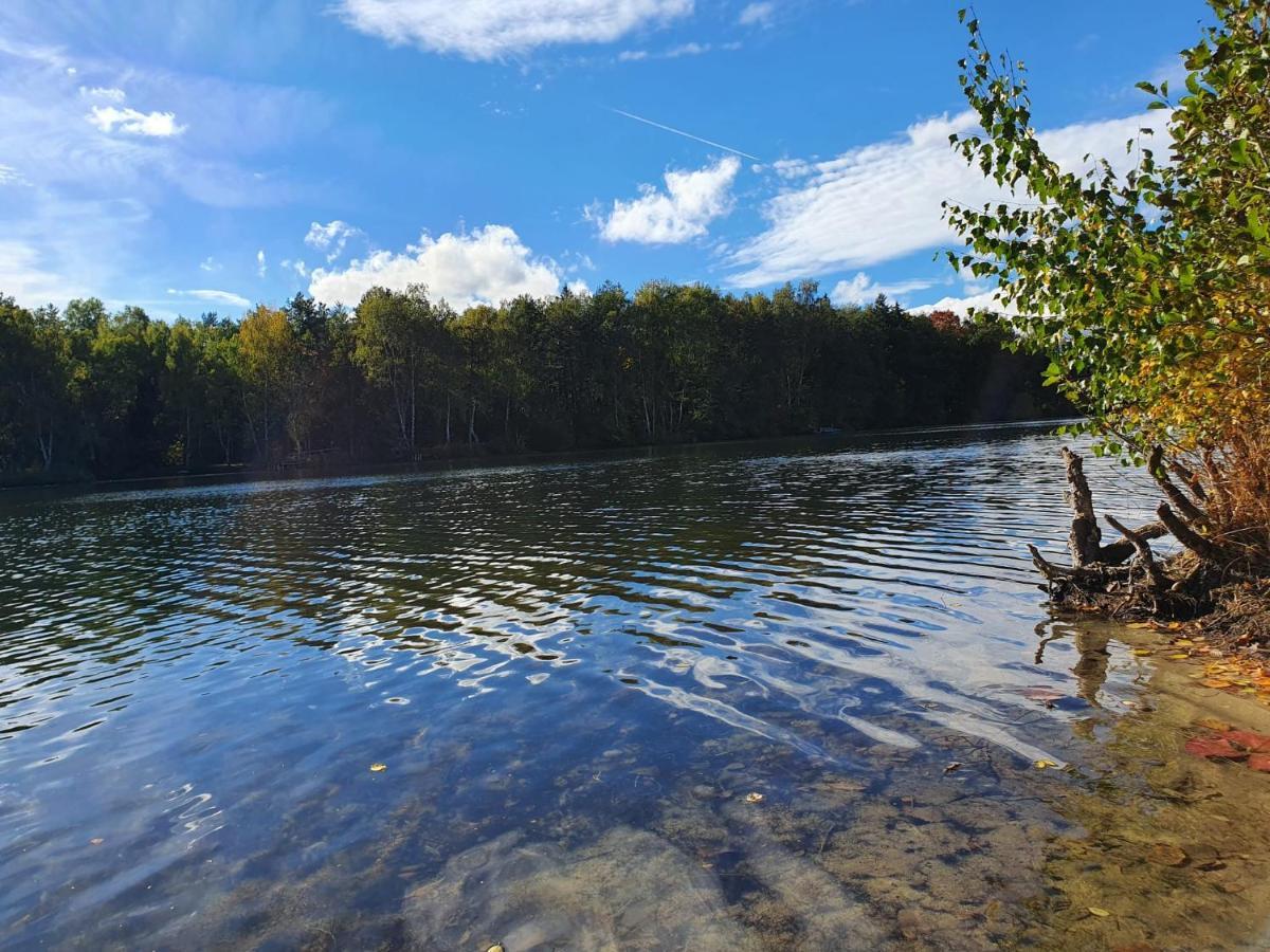 Ferienwohnung Am See Dillich - Eigener Garten - Ruhige Lage - Natur Vor Der Haustuer Borken  Exteriér fotografie
