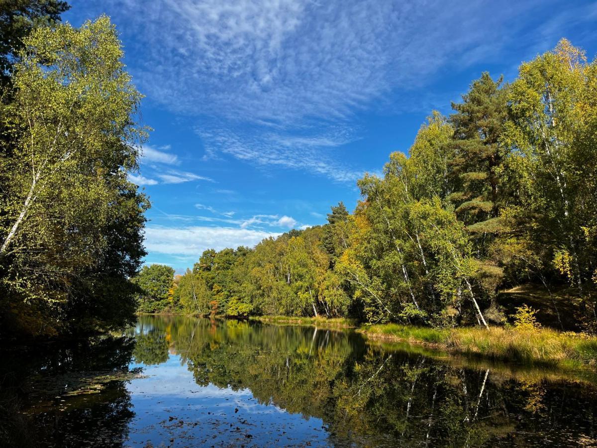 Ferienwohnung Am See Dillich - Eigener Garten - Ruhige Lage - Natur Vor Der Haustuer Borken  Exteriér fotografie
